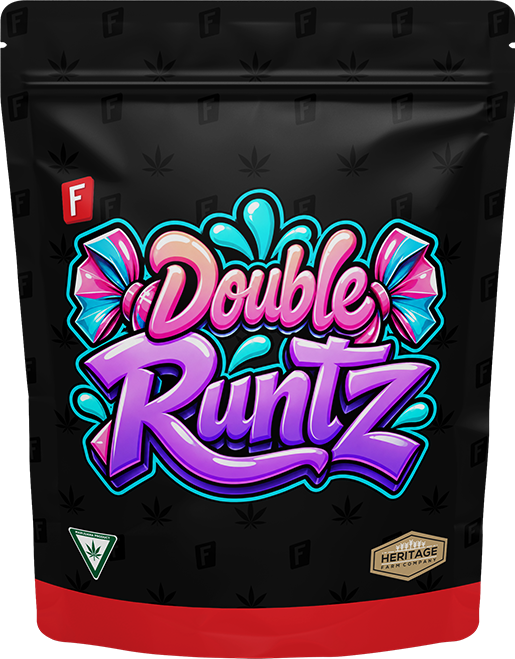 Double Runtz indoor flower