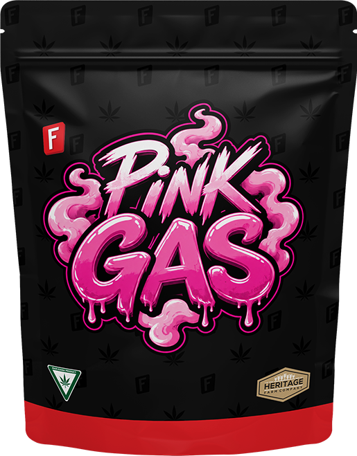 Pink Gas indoor flower